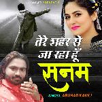 Tere Shahar Se Jaa Raha Hoon Sanam - Arshad Kamli Song Download
